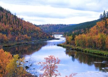 Viaggio in Finlandia, alla scoperta di cinque spunti per trovare il giusto equilibrio tutto l'anno