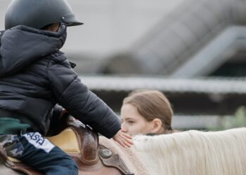 A Verona con Tocatì va in scena il mondo dell’equitazione