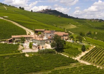 Wine Resort: Dormire in una vigna