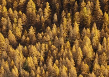 Il foliage autunnale nel Parco Nazionale del Gran Paradiso tra natura, storia ed enogastronomia