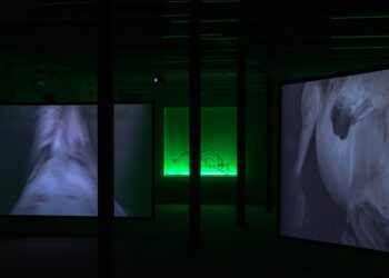 XNL Piacenza: la terza edizione del progetto diffuso di arte contemporanea