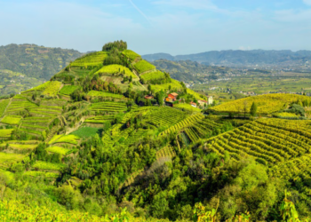 Il “Turismo agricolo”, tra i protagonisti nei viaggi per il 2025