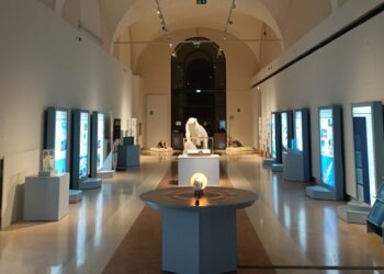 Artico, un coinvolgente Viaggio interattivo al Polo Nord
