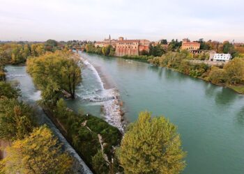 Consorzi di bonifica e irrigazione: adattamento e mitigazione degli effetti dei cambiamenti climatici