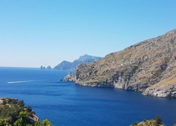 Vedi Napoli e dopo il FAI