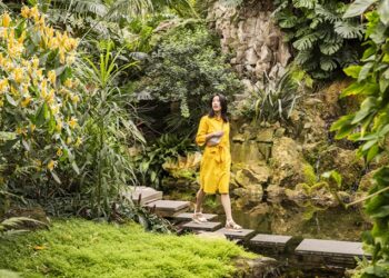 Viaggio nel patrimonio arboreo e floreale della Germania