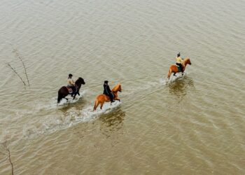 Vacanze a cavallo, le destinazioni per amanti di equiturismo