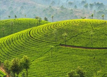 Estate 2025: sei viaggi straordinari da vivere con Gattinoni Travel