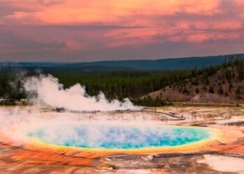 Estate 2025 a Yellowstone. Le 10 cose da sapere prima di un fantastico viaggio