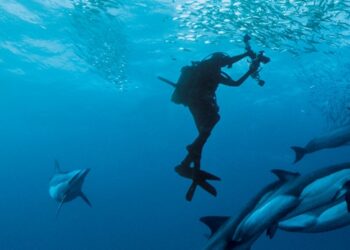 10 buoni motivi (in bassa stagione) per un coinvolgente viaggio in Sudafrica