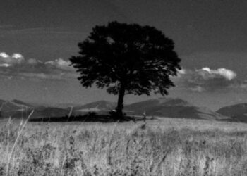 Giorgio Cutini in mostra alla Mole Vanvitelliana