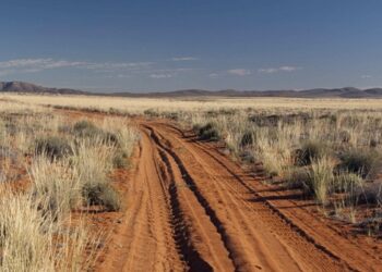 Esplorando il Northern Cape: un viaggio on the road tra deserti, stelle e fiori selvatici