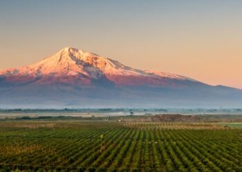 Armenia 2026: il Concours Mondial de Bruxelles premia il rinascimento del vino armeno