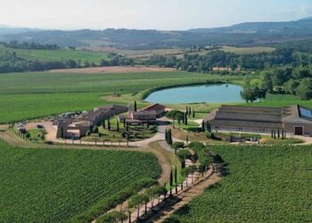 Le Macchine del Vino: museo originale tra l’inizio e la fine del processo produttivo