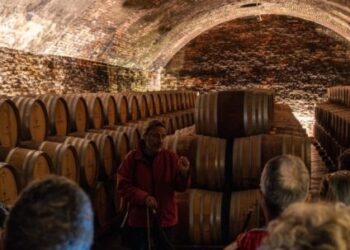 Autunno da gustare: Langhe, Monferrato e Roero celebrano sapori, tradizioni e paesaggi UNESCO