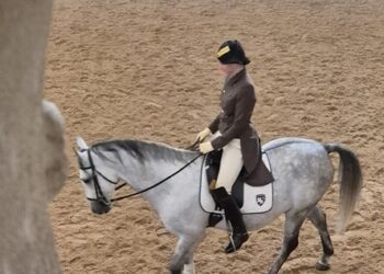 Vienna in bicicletta: dalla Sachertorte ai cavalli lipizzani, come scoprire un’ex capitale imperialeAbstract