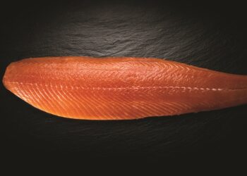 “La verità, vi prego, sul salmone”: il primo libro dedicato allo studio comparato sul mondo del nobile pesce