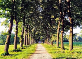 Casaprota celebra l’autunno: sapori sabini, tradizioni e paesaggi da scoprire