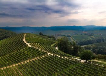 Viaggio nel Monferrato UNESCO, tra arte, sapori e innovazione