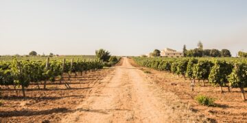 Stile Siciliano: i vini rossi del futuro. A Milano l’evento dell'Enoteca Regionale della Sicilia del Sud Est