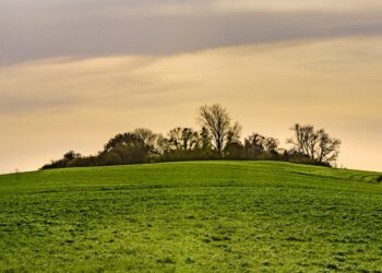 Viaggio nei Flanders Fields: dove la storia della Grande Guerra si fa emozione tra i papaveri