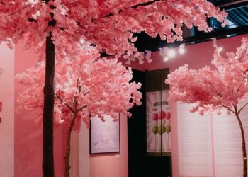 Itadakimasu: le storie nascoste nella cucina degli anime giapponesi