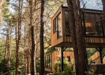 Viaggio wellness in Irlanda tra Spa, boschi e oceano