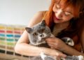 Giornata del Gatto: il nuovo volto del travel pet-friendly