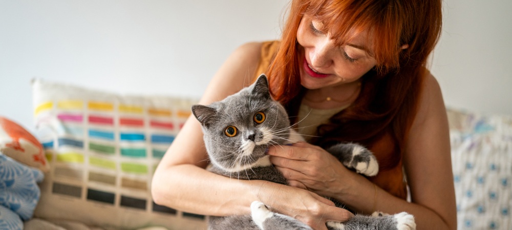 Giornata del Gatto: il nuovo volto del travel pet-friendly
