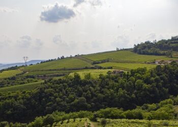 Gambellara tra mare e lava: il volto vulcanico e femminile di Volcanalia