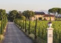 Il Collio fiorisce a Borgo Conventi