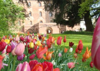 Un paradiso di colori