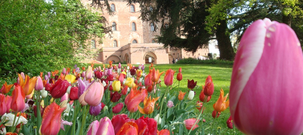 Un paradiso di colori