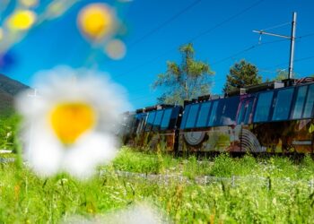 Primavera in viaggio sulla Vigezzina-Centovalli