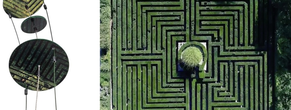 Artistsforplants: quando l’arte diventa alleata del mondo vegetale
