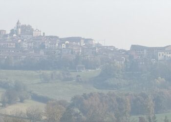 La Barbera, eccellenza tra i colli del Monferrato: storia, innovazione e sostenibilità