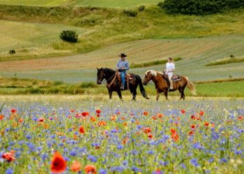 10 esperienze slow travel per scoprire l'Umbria d'estate