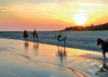 Barricata Holiday Village: nel Delta del Po tra natura, cavalli e lagune