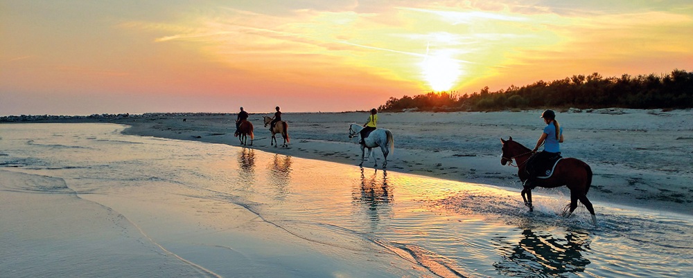 Barricata Holiday Village: nel Delta del Po tra natura, cavalli e lagune