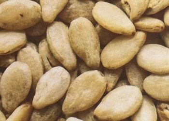 Blanc Sesame: la nuova fragranza di Majouri Paris