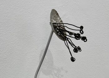 I fiori di Chiara Colombo sono leggeri come rondini, alla Villa Contemporanea di Monza