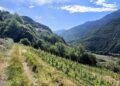 Il viaggio millenario: la Valle d'Aosta tra storia, natura e viticoltura eroica