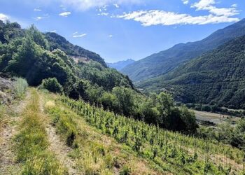 Il viaggio millenario: la Valle d'Aosta tra storia, natura e viticoltura eroica