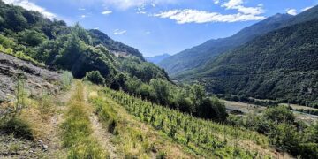 Il viaggio millenario: la Valle d'Aosta tra storia, natura e viticoltura eroica