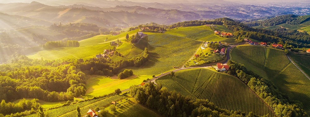 Stiria 2026: l'anno di BLOOM nel Cuore Verde d'Austria