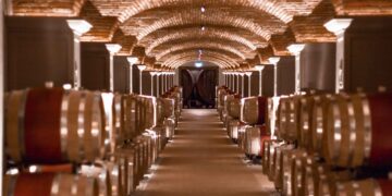 Enoturismo d'autore: il viaggio sensoriale di Tommasi