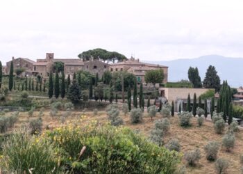 Camigliano: un’azienda familiare nel suggestivo borgo della Val d’Orcia