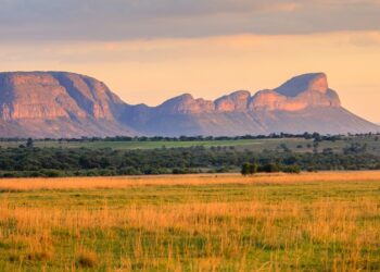 Sudafrica da Oscar: tre itinerari tra set e realtà