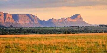 Sudafrica da Oscar: tre itinerari tra set e realtà