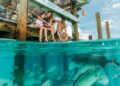 Bahamas segrete: guida alle Out Islands